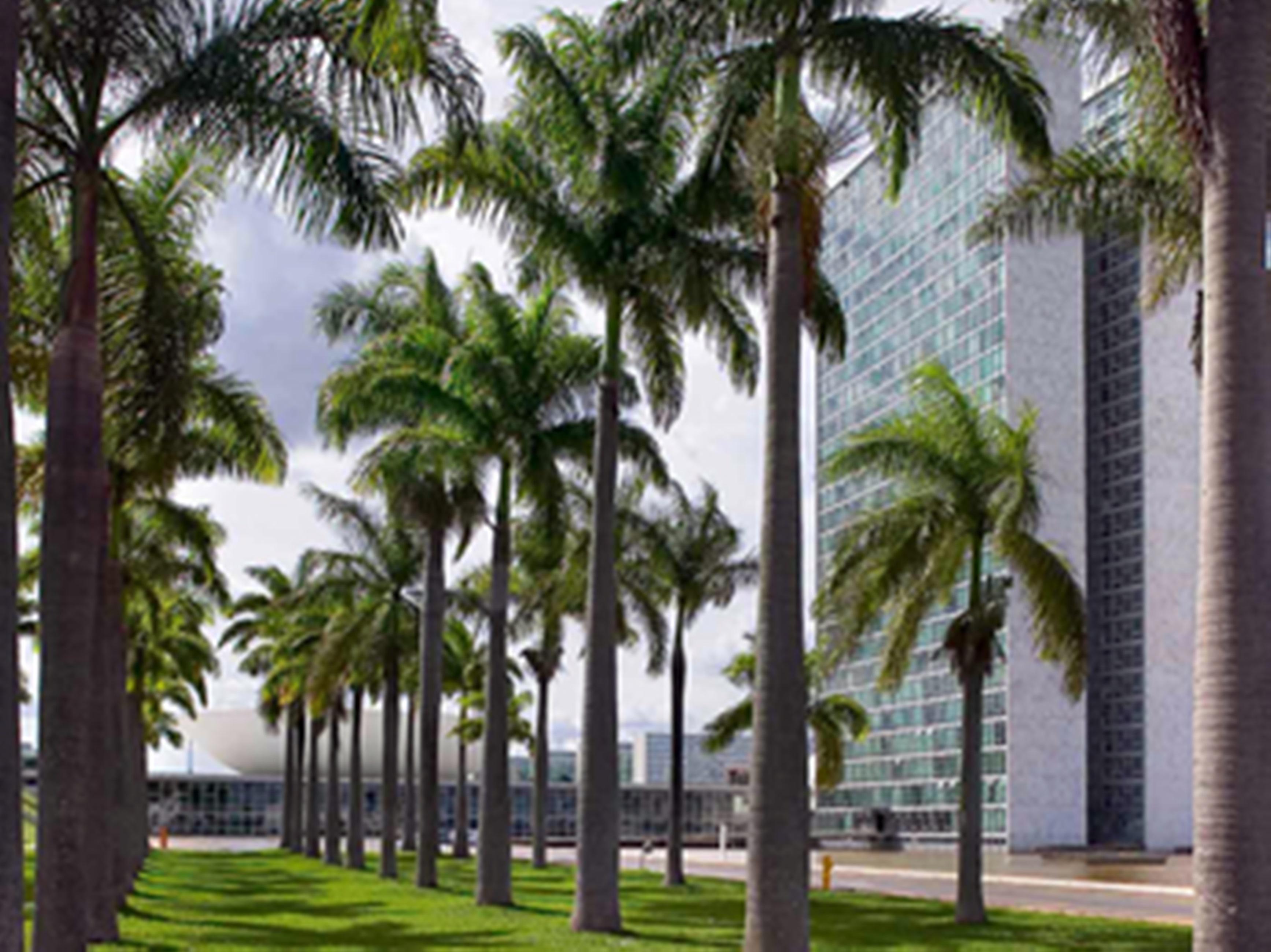 Hotel Mercure Brasília Líder Exterior foto